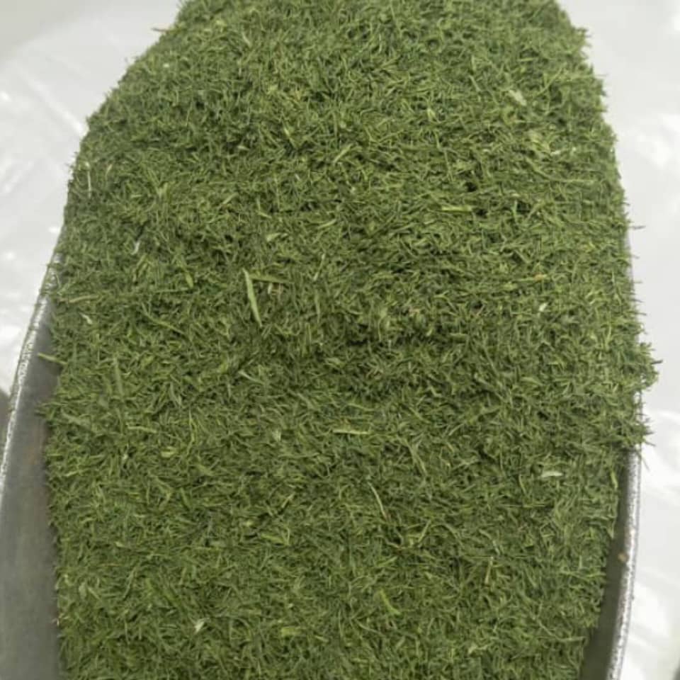 تصویر 1 از شوید سبزی خشک + فروش صادراتی