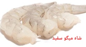 تصویر 1 از بهترین شاه میگو سفید صادراتی ایران + قیمت خرید عالی