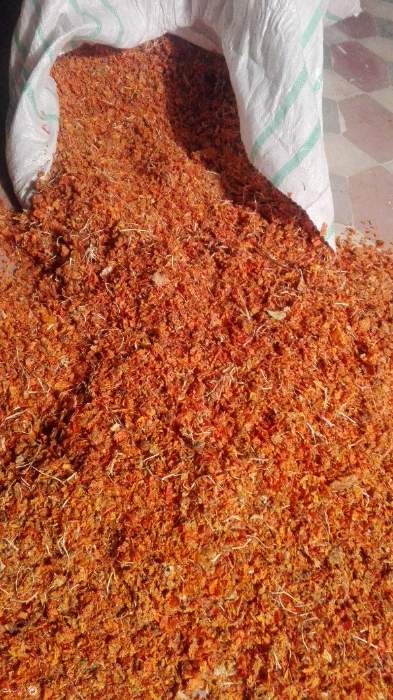 تصویر 2 از قیمت فروش  تفاله گوجه