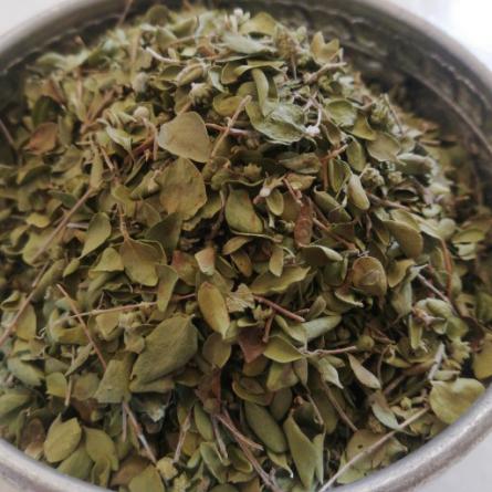 تصویر 1 از فروش آویشن شیرازی برگ + فروش عمده