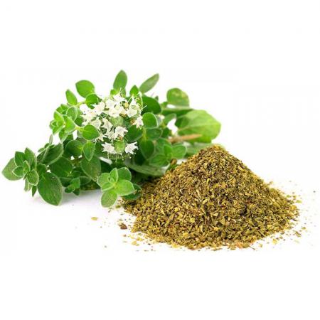 فروش آویشن