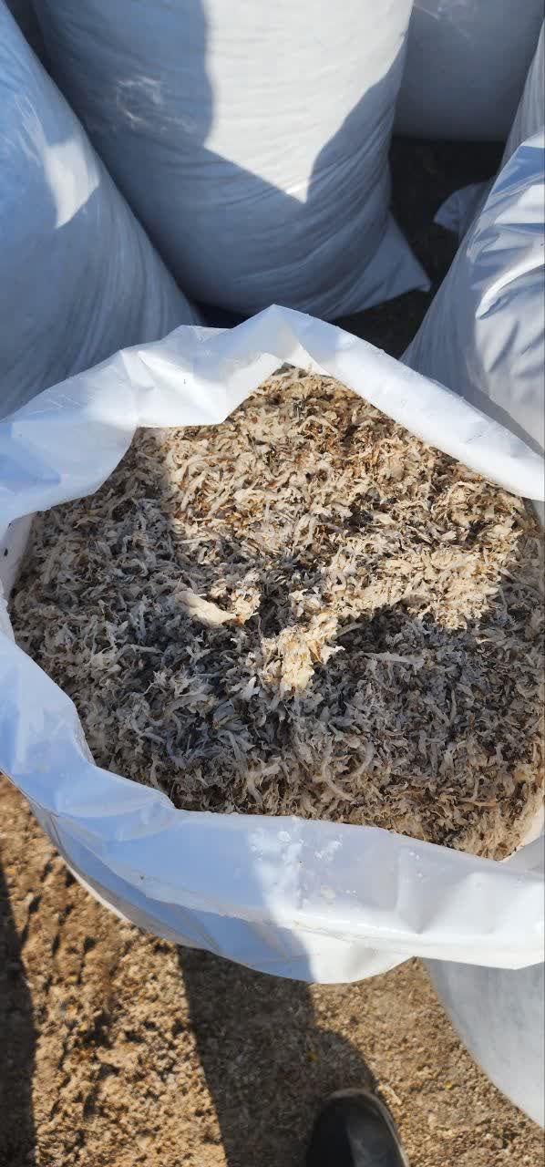 تصویر 2 از خرید اینترنتی تفاله فشنگی چغندر