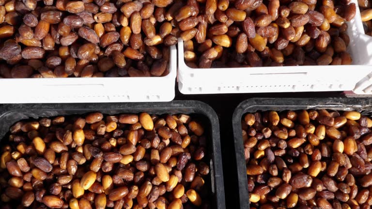تصویر 2 از راهنمای خرید خرما زاهدی صادراتی فارس + قیمت عالی