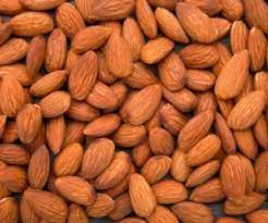 تصویر 1 از خرید بادام کوهی تلخ + عمده