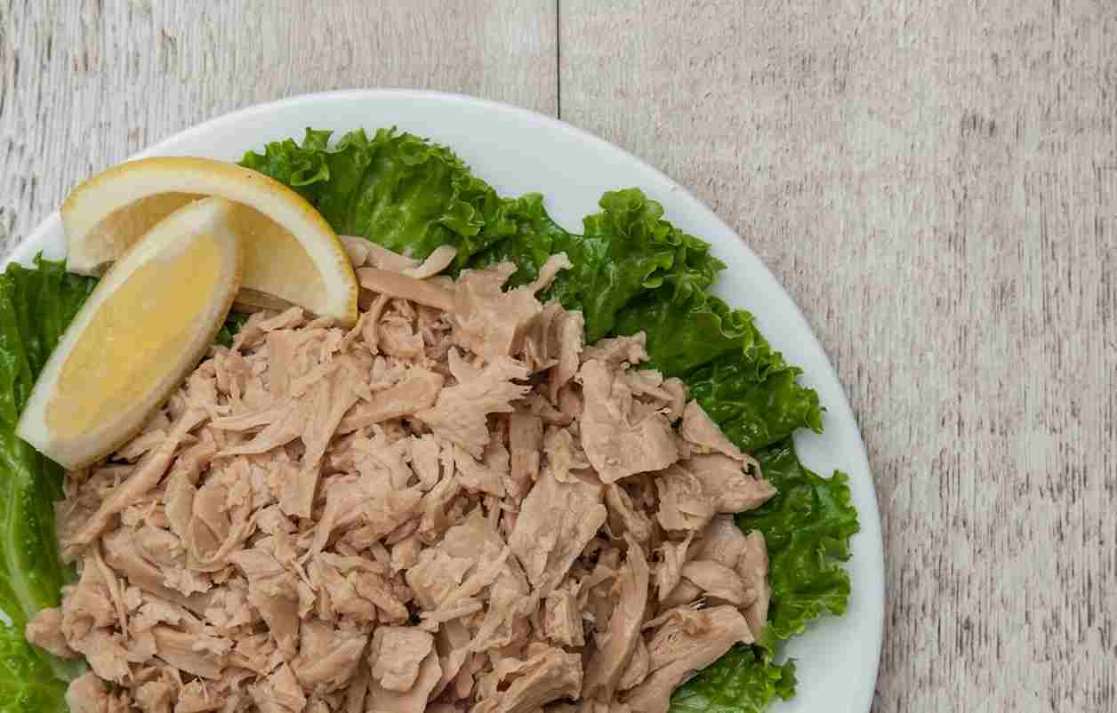 تصویر 2 از خرید و قیمت تن ماهی با سبزیجات + فروش عمده