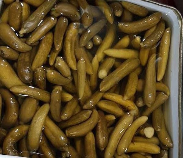 تصویر 5 از قیمت روز کنسرو خیارشور
