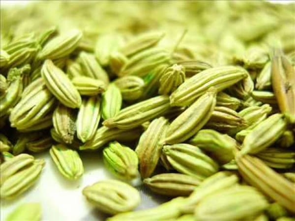خرید و قیمت زیره سبز اعلا + فروش عمده