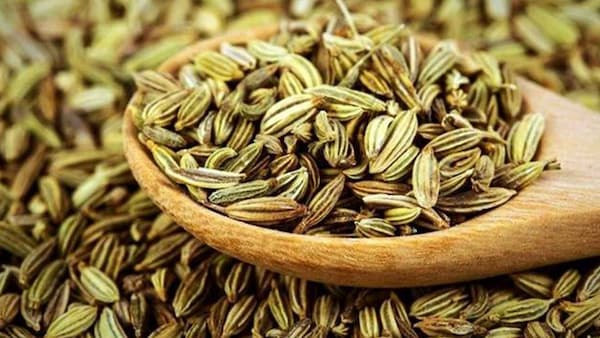 تصویر 3 از خرید و قیمت زیره سبز وحشی + فروش عمده
