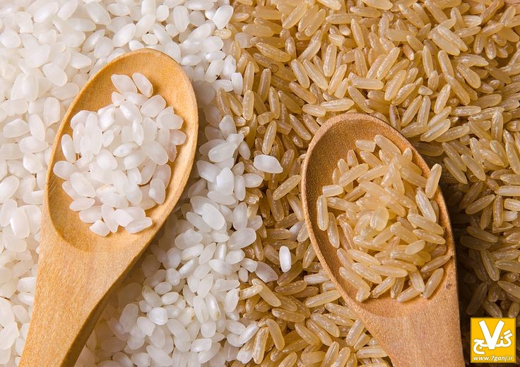 تصویر 1 از فروش عمده و مستقیم برنج کامفیروز با بهترین کیفیت