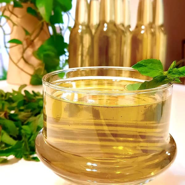 تصویر 2 از شربت سکنجبین یک لیتری + قیمت لحظه ای