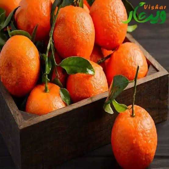 تصویر 4 از نارنگی ژاپنی + قیمت استثنایی