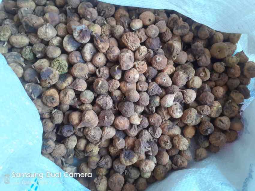تصویر 1 از قیمت روز انجیر خشک سفید صادراتی + قیمت فروش