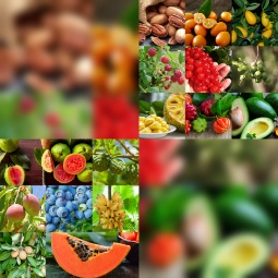 مرکز خرید نهال میوه استوایی عمده + قیمت نهال میوه های گرمسیری