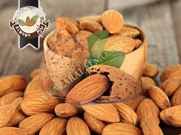 تصویر 2 از بادام ربیع ممتاز + خرید استثنایی