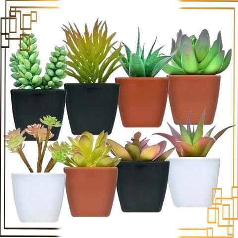 تصویر 1 از خرید گلدان پلاستیکی کوچک با فروش ویژه + قیمت استثنایی