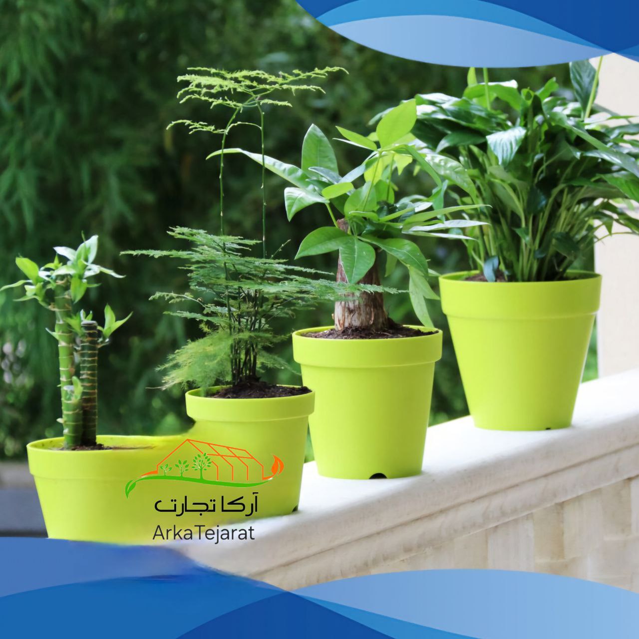تصویر 4 از خرید گلدان پلاستیکی گرد رنگ بندی متنوع + قیمت عمده