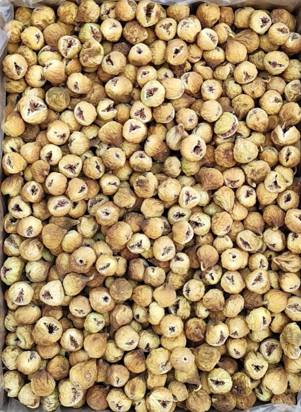 خرید انجیر صد یک + سایز درشت و دورنگ