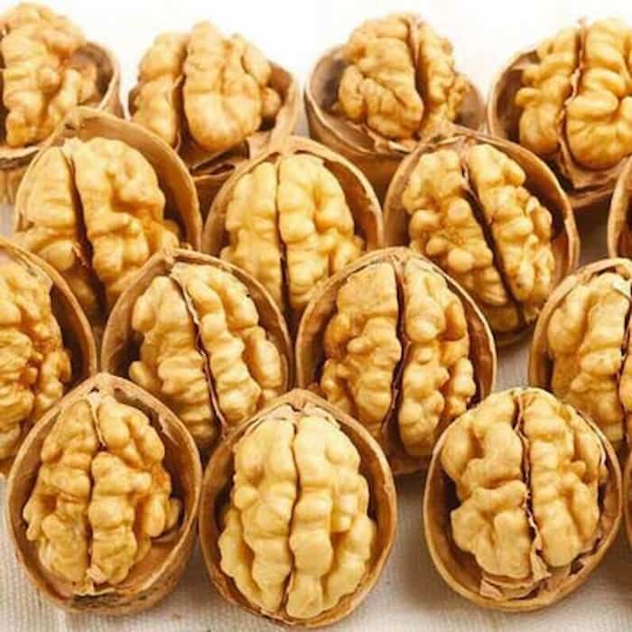 خرید و قیمت مغز گردو سفید درجه یک عمده صادراتی