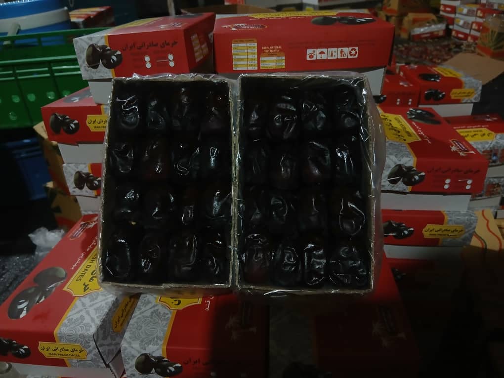 تصویر 3 از خرید عمده خرما مضافتی