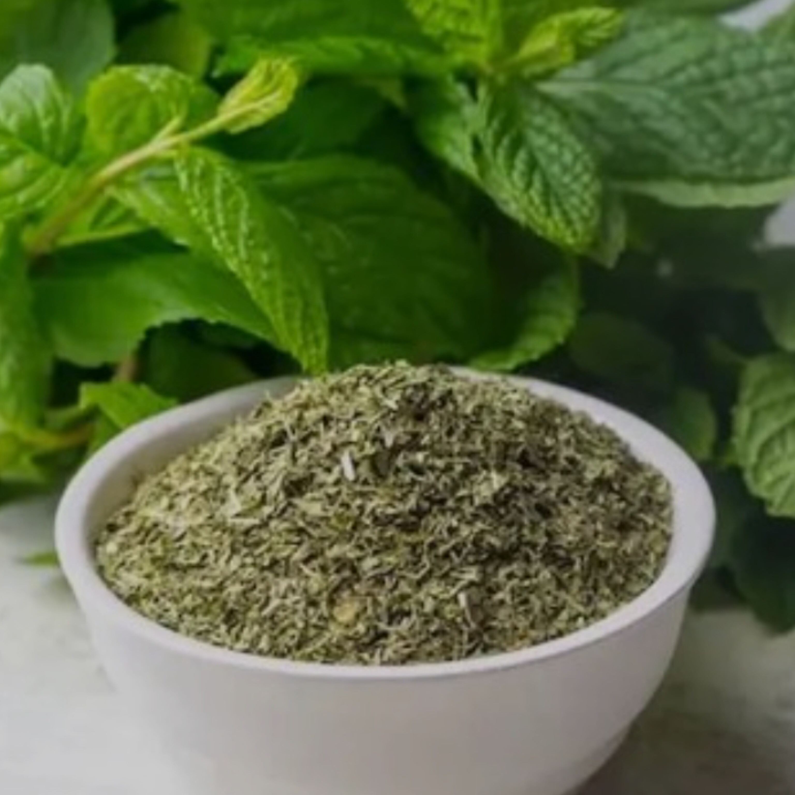 خرید نعنا خشک + قیمت منصفانه
