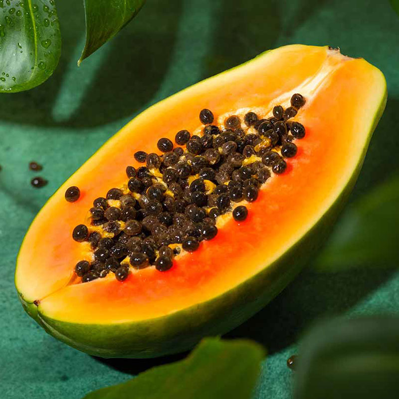 تصویر 2 از پخش پاپایادرجه یک + فروش عمده