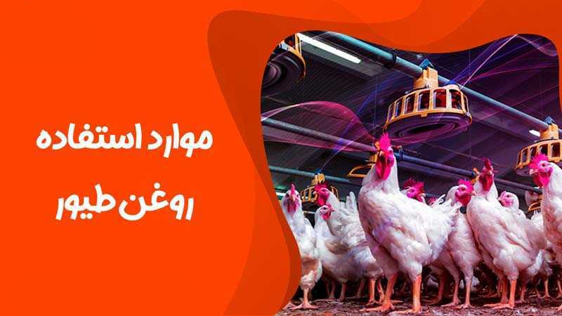 تصویر 1 از مرکز فروش روغن ویژه مرغداری + کیفیت و قیمت فوق العاده