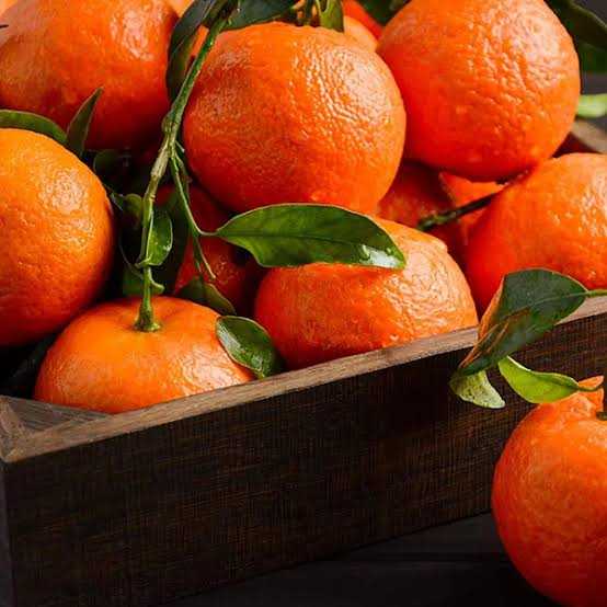 تصویر 7 از نارنگی یافا + قیمت استثنائی