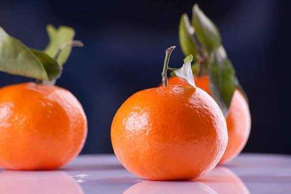 تصویر 6 از نارنگی یافا + قیمت استثنائی