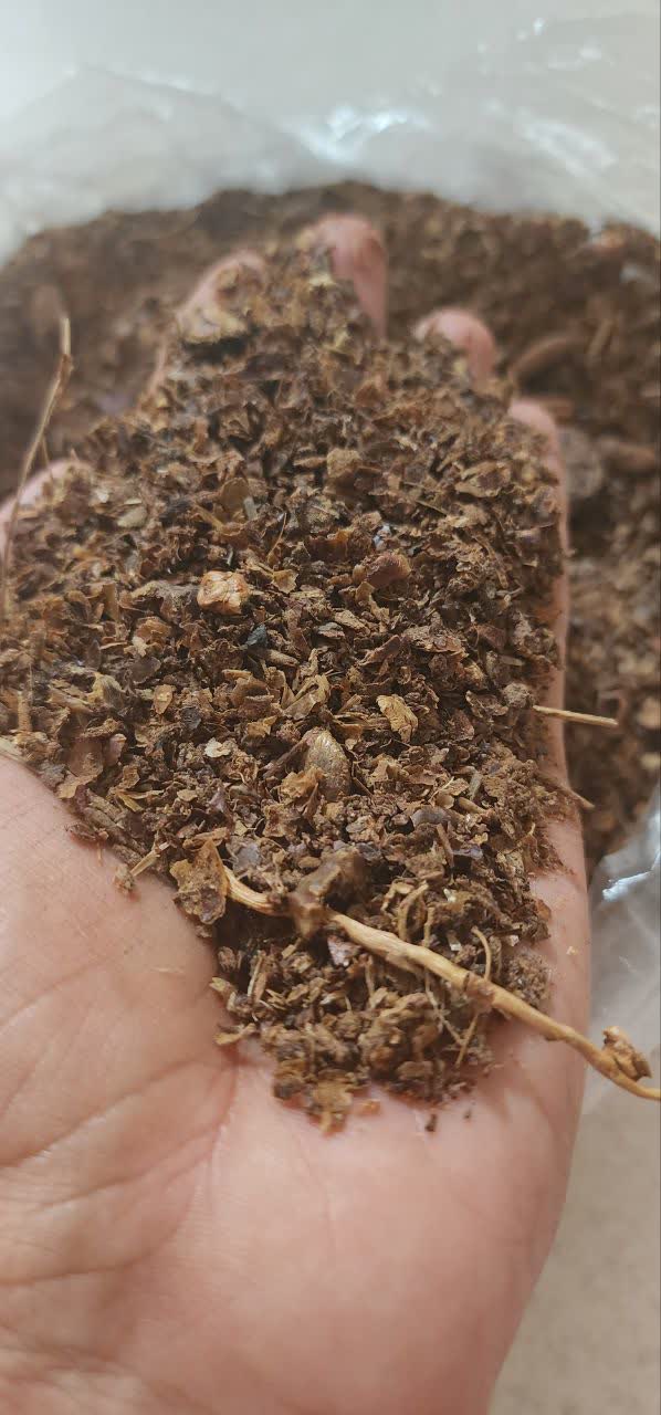تصویر 3 از تفاله خرما برای گوسفند عمده