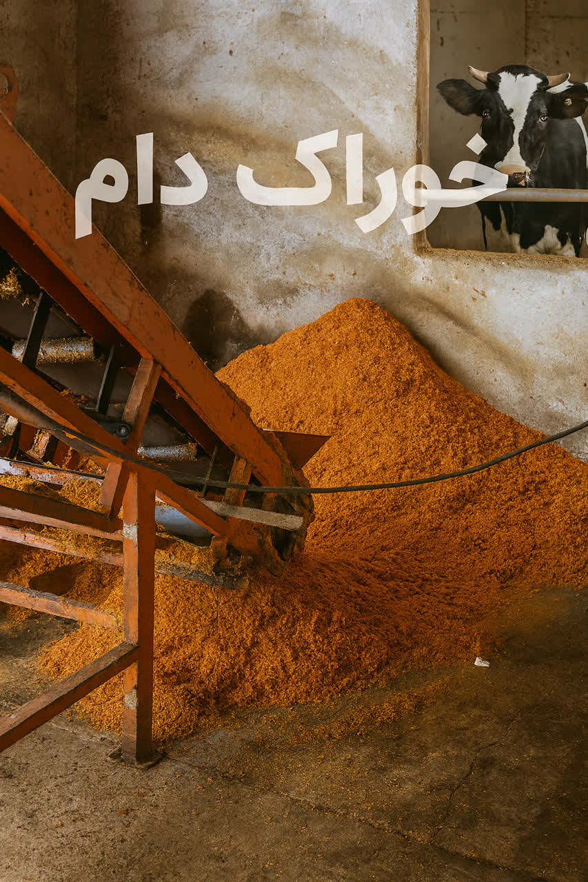 تصویر 2 از نمایندگی اصفهان تفاله خوراک دام