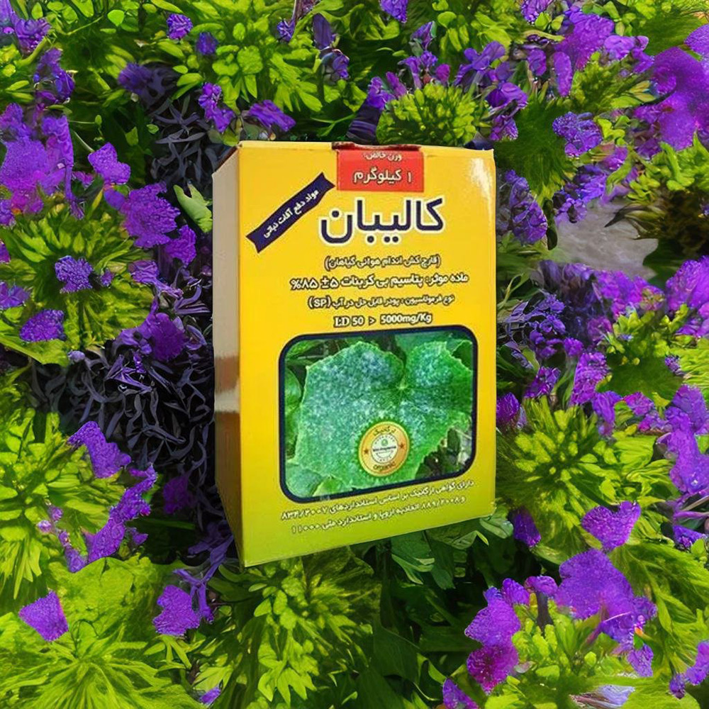 تصویر 3 از قیمت خرید قارچ کش ارگانیک کالیبان عمده به صرفه