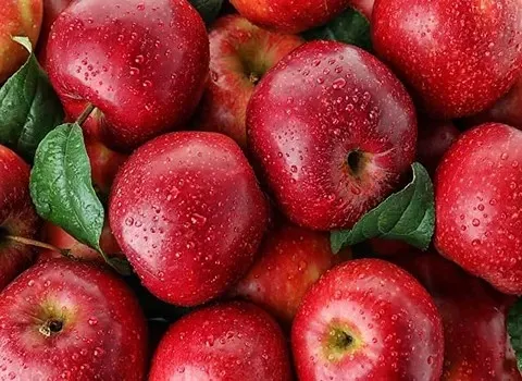 فروش سیب رد دلیشز تهران + صادراتی