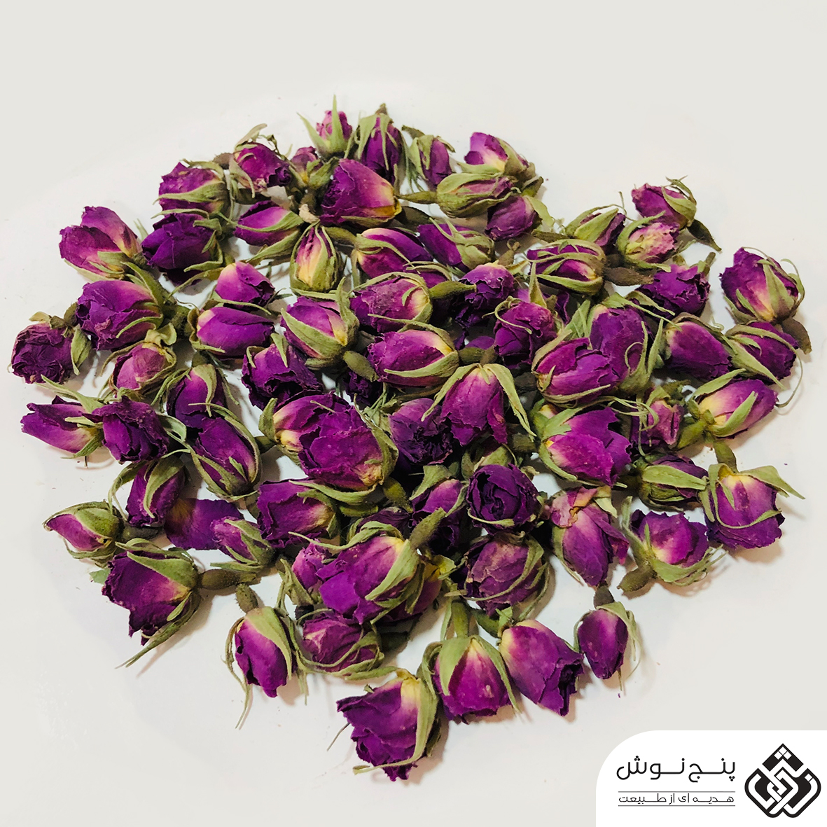 خرید عمده غنچه گل محمدی در کرمان با شرکت فولاد گل