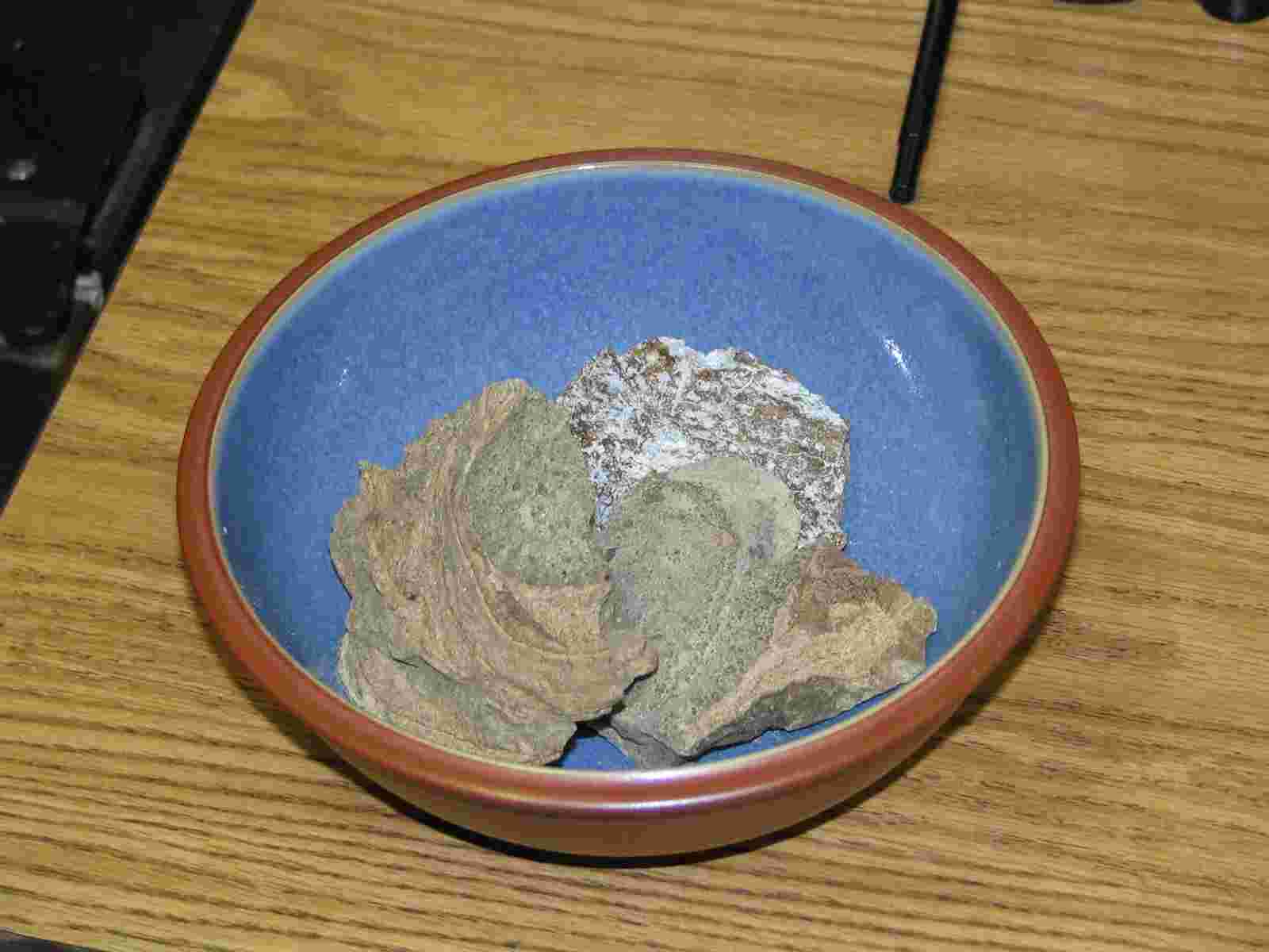 تصویر 1 از فروش پرطرفدار پیه نهنگ قیمت روز