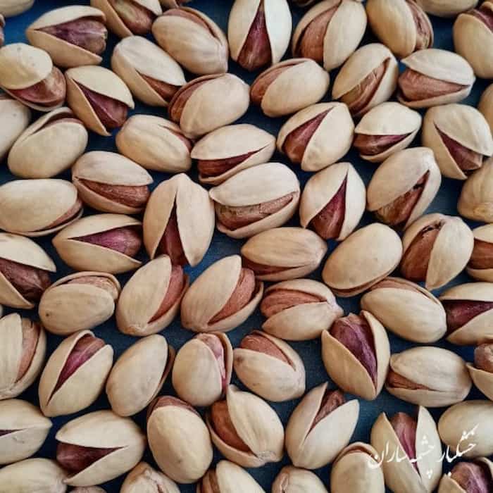 تصویر 3 از قیمت خرید بهترین پسته فندقی کرمان + با کیفیت عالی