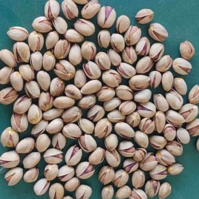 تصویر 4 از قیمت خرید پسته فندقی رفسنجان با کیفیت