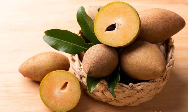 تصویر 4 از خرید میوه چیکو تازه چابهار + قیمت چیکو صادراتی