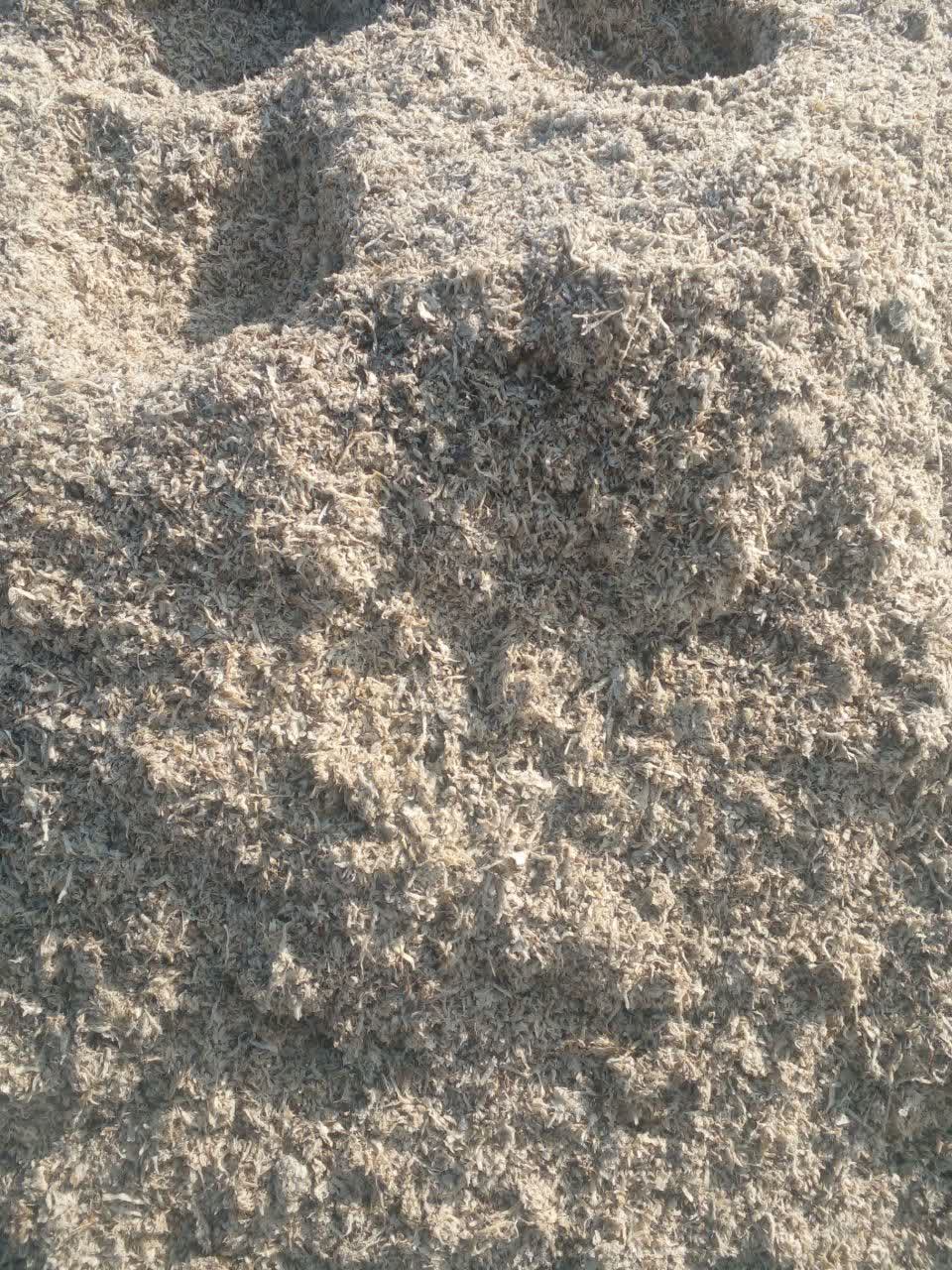 تصویر 1 از توزیع تفاله چغندر همدان