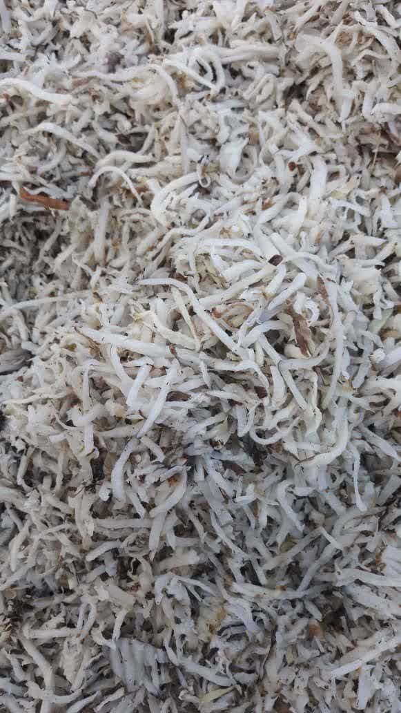 تصویر 3 از توزیع تفاله چغندر همدان