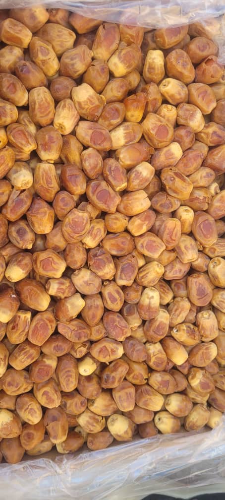 تصویر 4 از خرید و فروش خرما زاهدی + فروش عمده