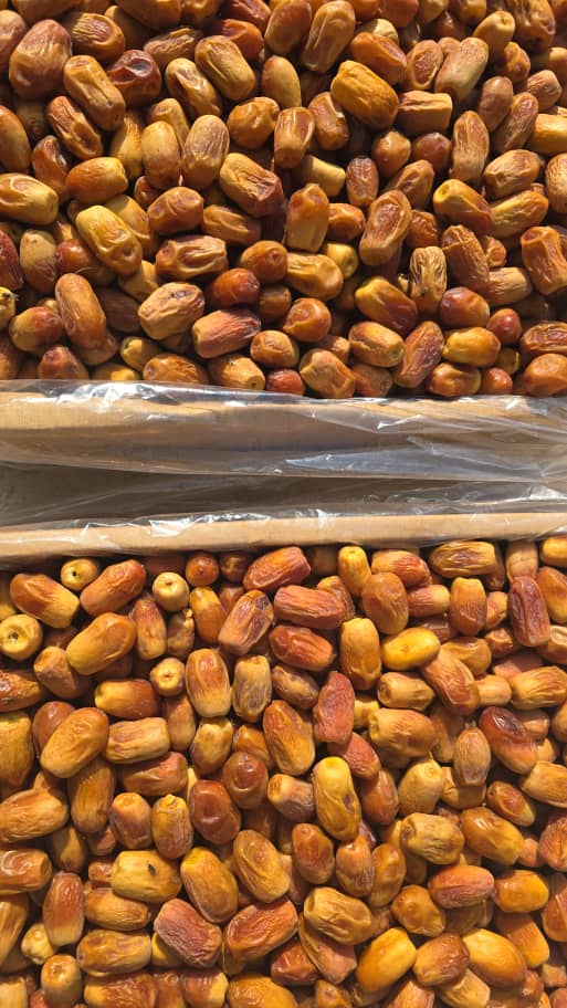 تصویر 1 از خرید و فروش خرما زاهدی + فروش عمده