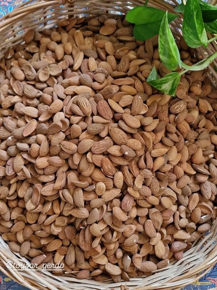 بادام پوست کاغذی