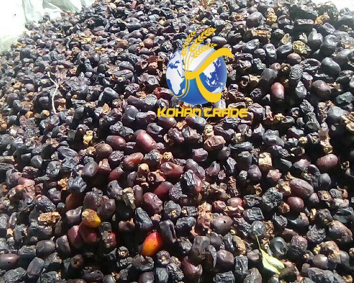 فروش خرما ضایعاتی جیرفت
