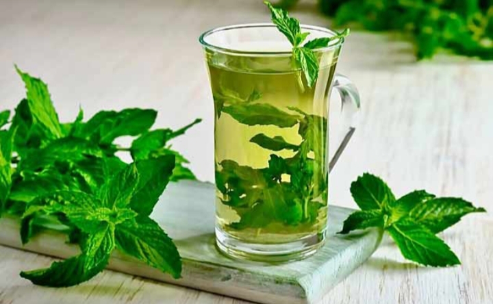 تصویر 4 از عرق نعنا ویزه باصرفه + سنتی وارگانیک