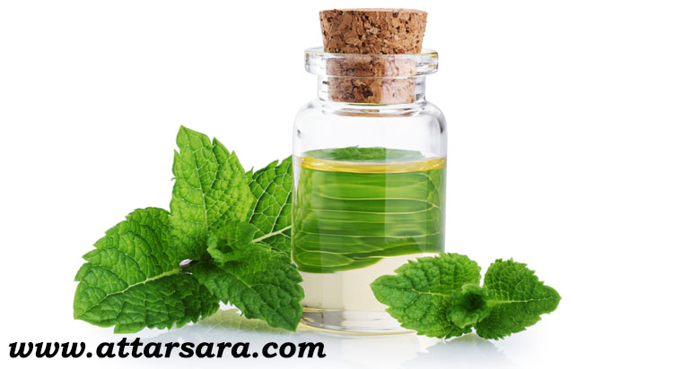 تصویر 3 از فروش عرق نعناویزه شیشه ای + فروش عمده