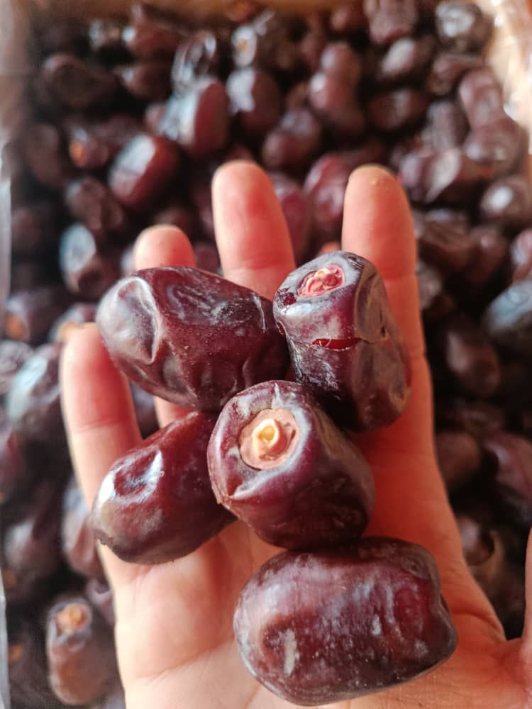 عرضه مستقیم خرمای پیارم + قیمت به صرفه