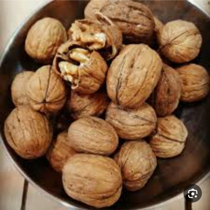 فروش عمده گردوی تویسرکان با مغز درشت + خرید عمده از باغدار
