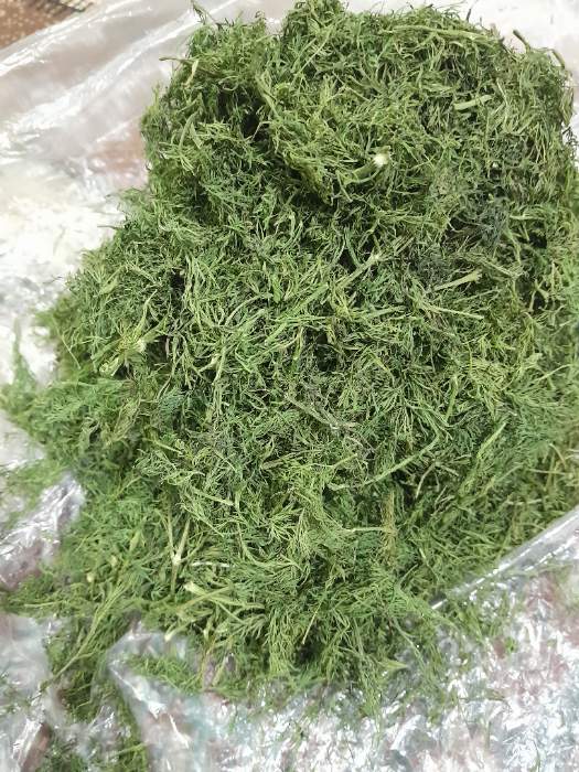 تصویر 2 از خرید شوید خشک برای سبزی‌ پلو با ماهی و سالاد