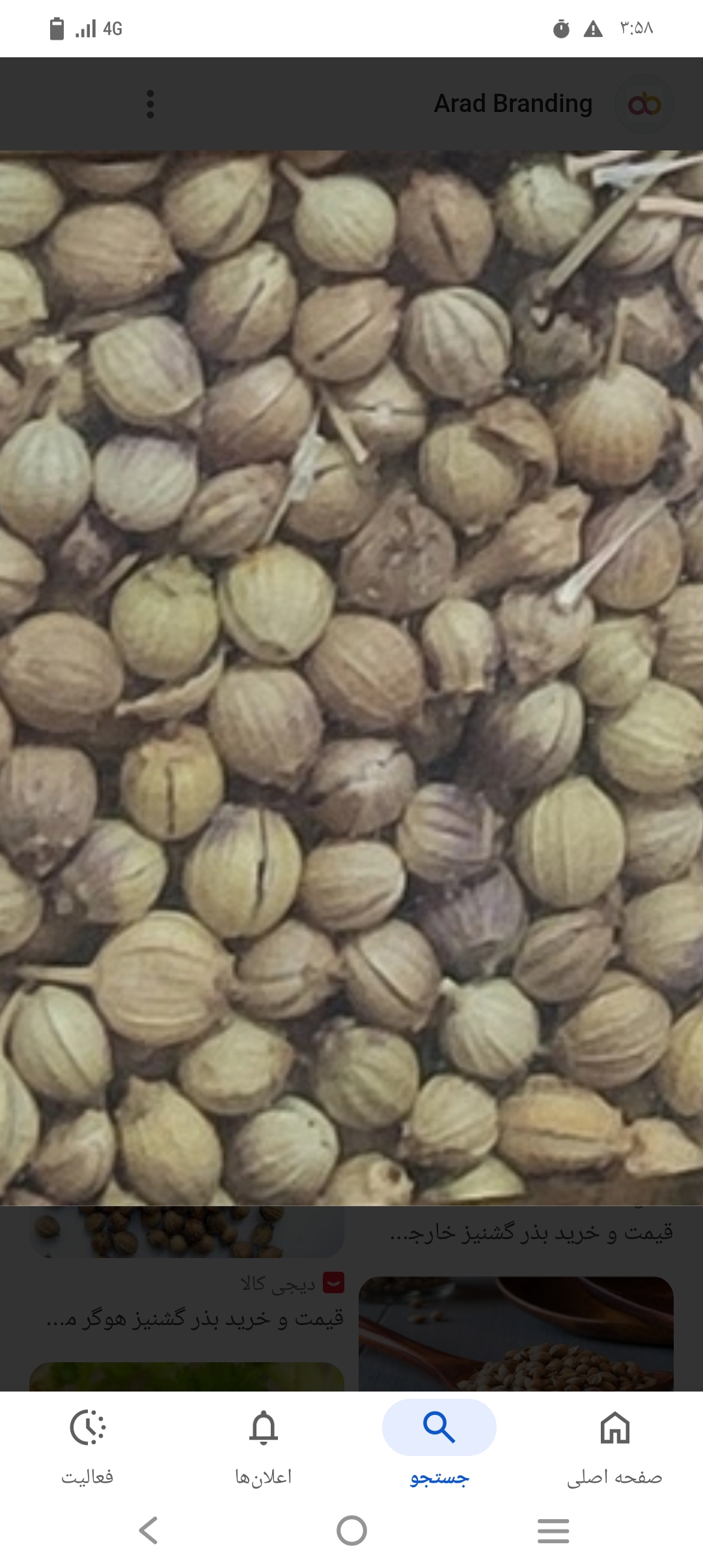 تصویر 1 از فرصت طلایی خرید بذر گشیز شما (گریدA)