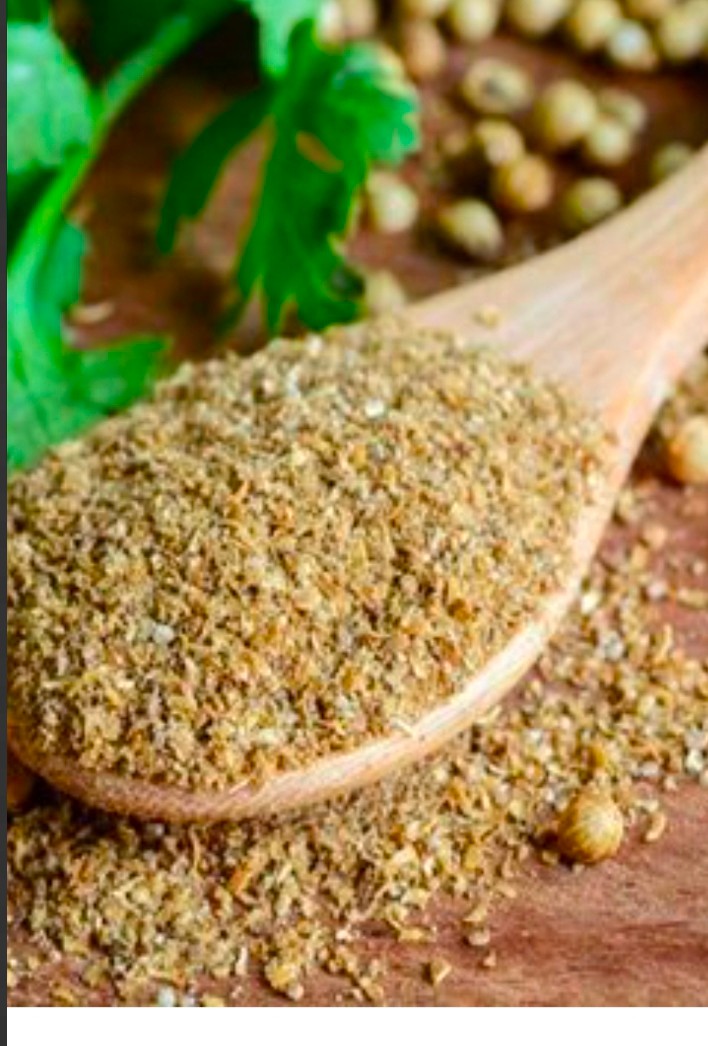 تصویر 1 از کنگاور قطب خرید و فروش گشنیز گرید B با بهترین شرایط